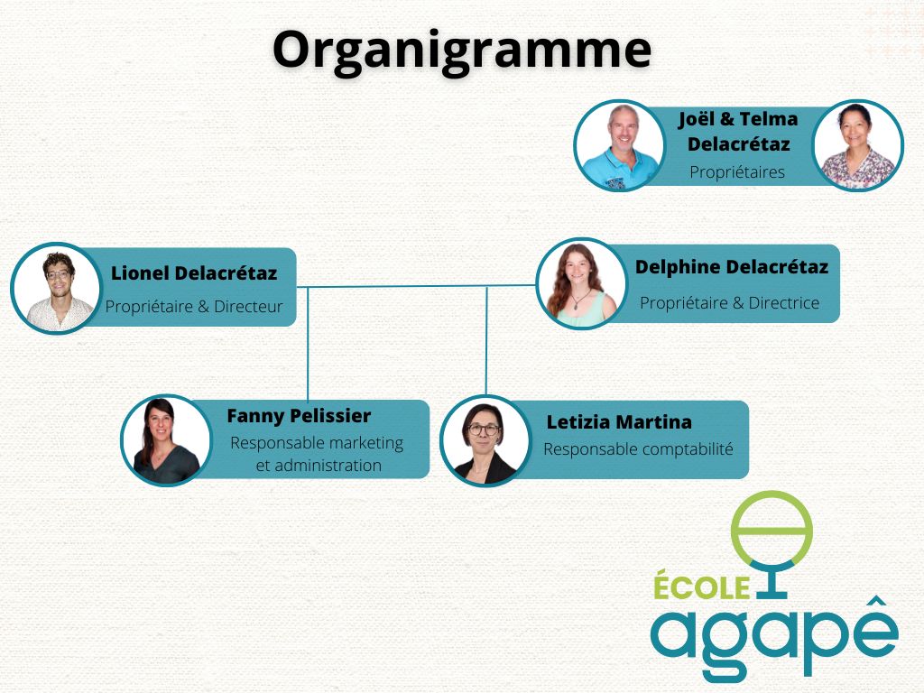 Organigramme